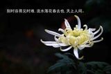 天明又复收