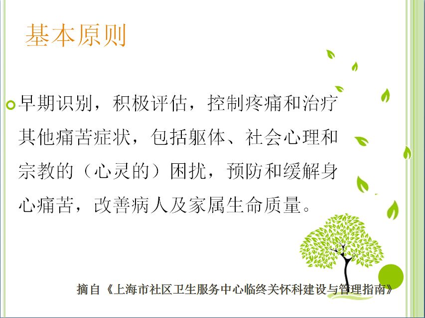 舒缓护疗进展与实践